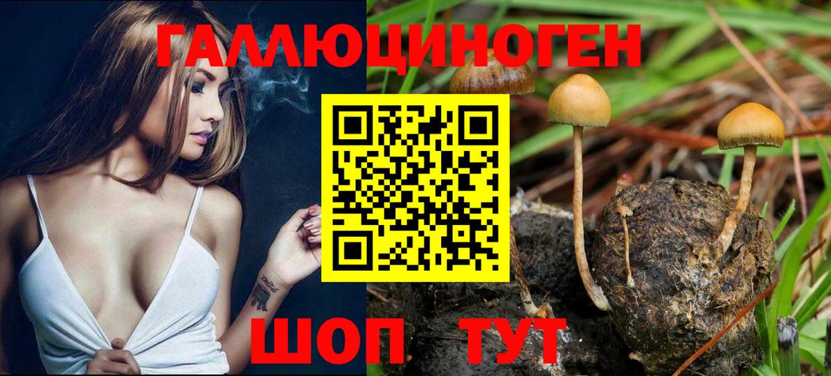 Псилоцибиновые грибы ЛСД  Вход с VPN  Городец 