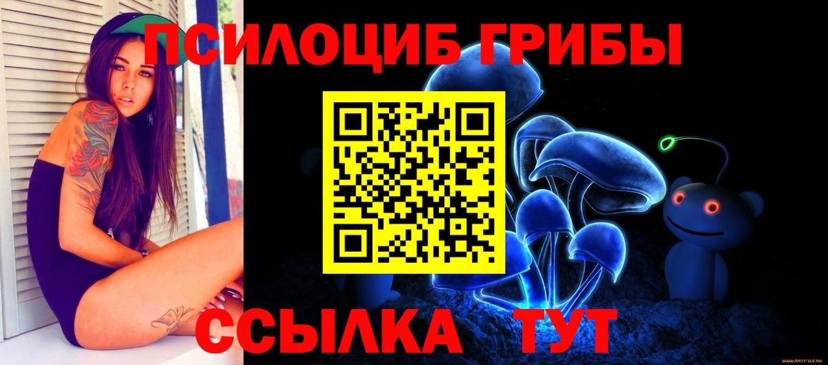 Галлюциногенные грибы ЛСД Городец